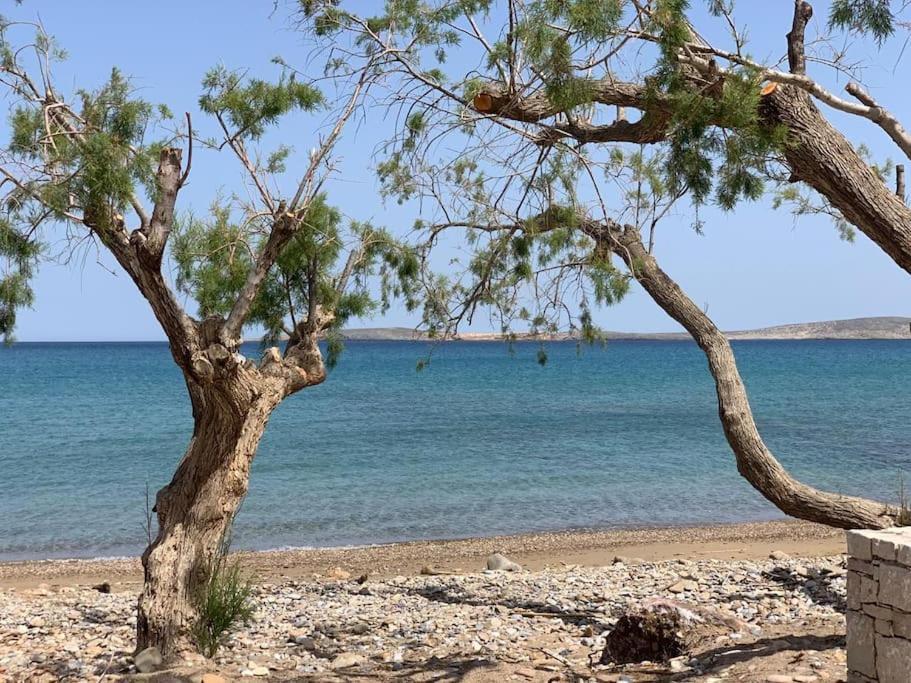 Studio At Beautiful Beach Kouremenos Apartment Anevato Екстериор снимка